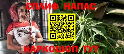 скорость Будённовск