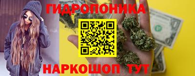 скорость Будённовск